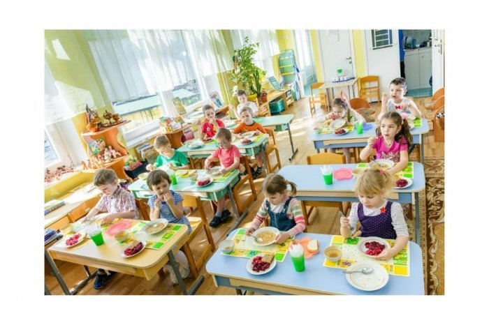 Внедрение ПП «1С Дошкольное питание 8» для детского сада № 23 «Ладушки» компании Неосистемы Северо-Запад