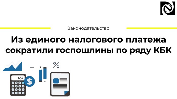 Из единого налогового платежа сократили госпошлины по ряду КБК 