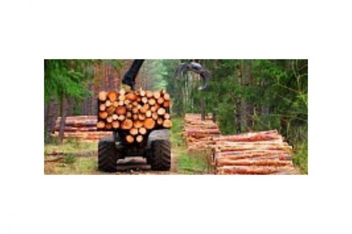 ООО "ГРИНТИМБЕР ДЕВЕЛОПМЕНТ" выбрало "1С:Управление лесозаготовительным предприятием. Модуль для 1С:ERP и 1С:КА2" для управления лесозаготовкой и лесным фондом. компании Неосистемы Северо-Запад