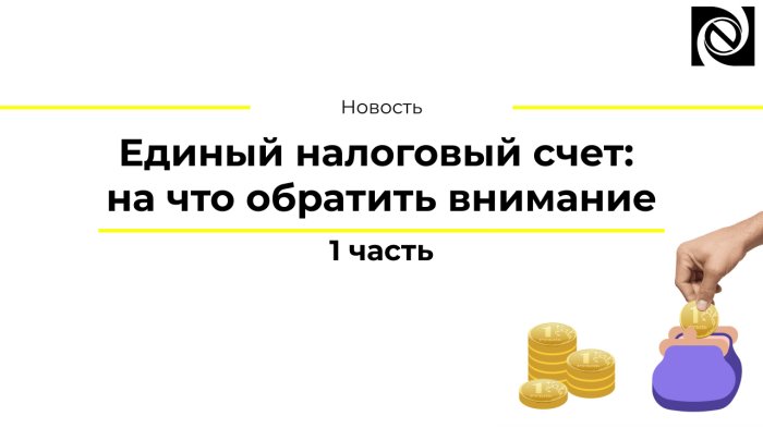 Единый налоговый счет: на что обратить внимание. 1 часть