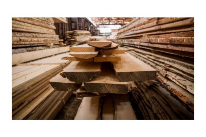 ООО "ПК "Бурускон" выбрало "Неосистемы:Лесозавод Стандарт 8.2" для оперативного и производственного учета на лесопромышленном предприятии. компании Неосистемы Северо-Запад