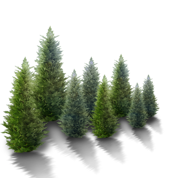 pngwing.com (92).png