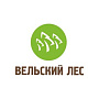 ООО «Вельский Лес», Неосистемы Северо-Запад